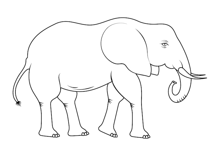 Vektor coloring page of a elephant cartoon character vector