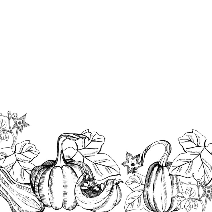 Vektor composition on an autumn theme pumpkins and leaves hand drawn in graphics on a white background
