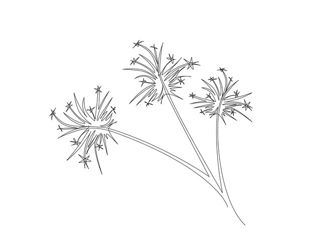 Continuous one line drawing of exploded firework