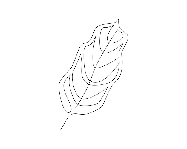Continuous one line drawing of monstera leaf Vector illustration