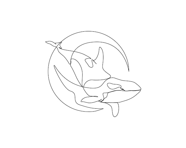 continuous one line drawing of orca killer whale