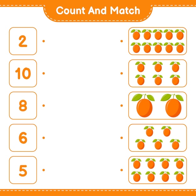 Count and match, count the number of Ximenia and match with right numbers. Educational children game, printable worksheet 