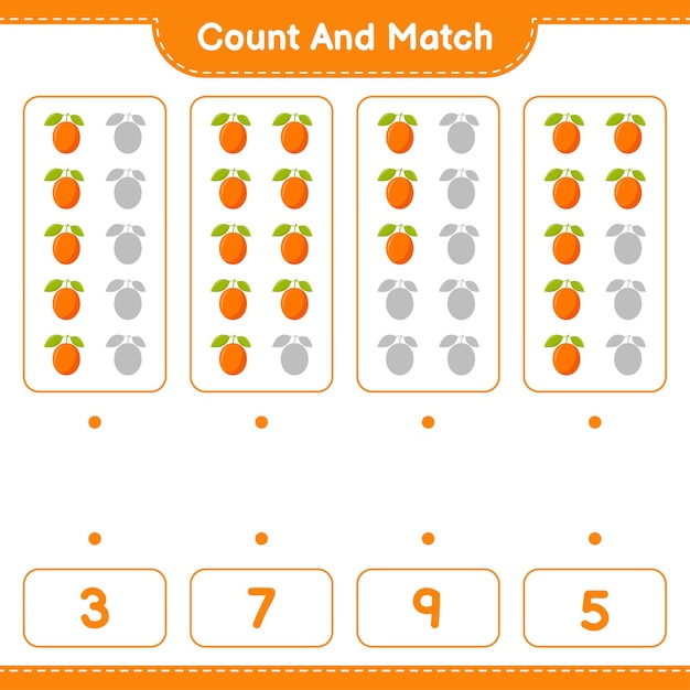 Count and match, count the number of Ximenia and match with right numbers. Educational children game, printable worksheet 