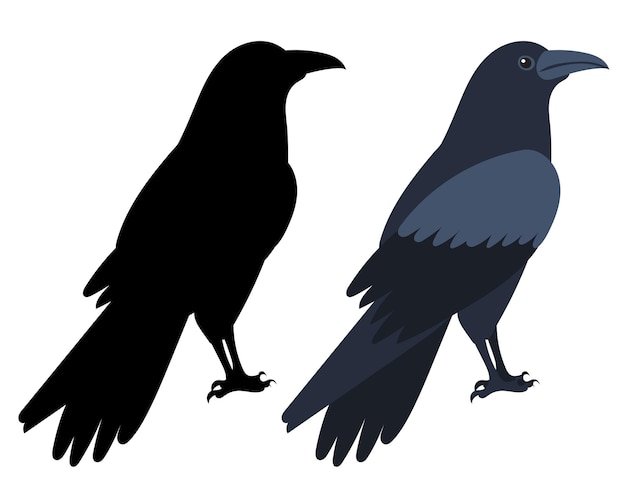 Crow flat design isolated on white background vector