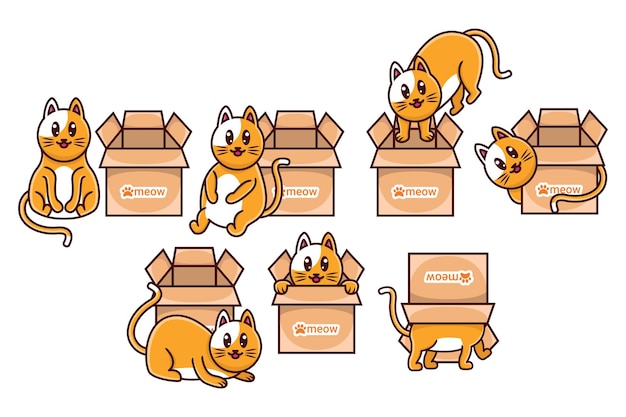 Cute cat with box character cartoon collection