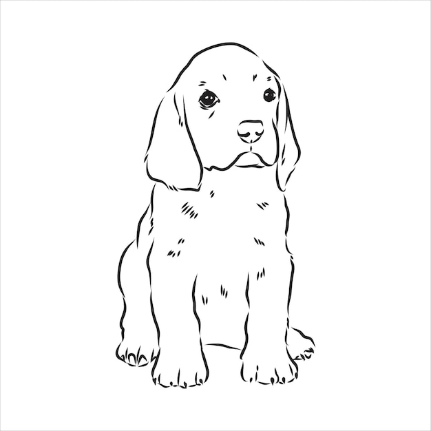 decorative portrait of standing in profile beagle vector isolated illustration in black color