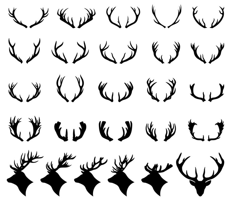 Deer antlers forest animal silhouettes illustration set