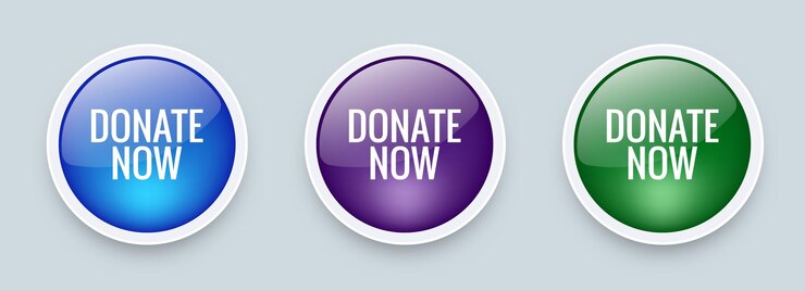 Donate now button with paypal bitcoin payment system