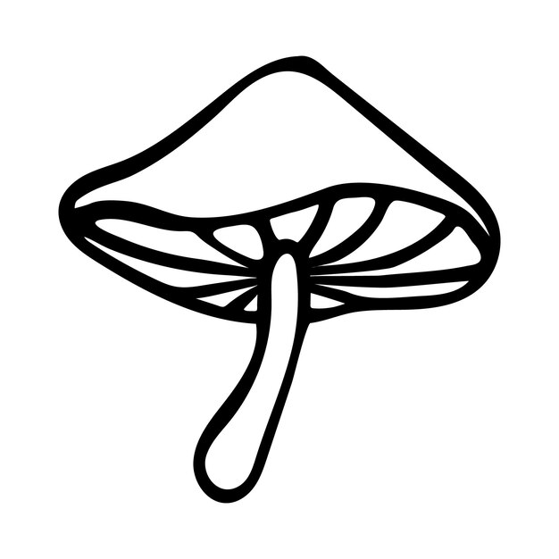 Doodle mushroom on white background Handdrawn vector illustration