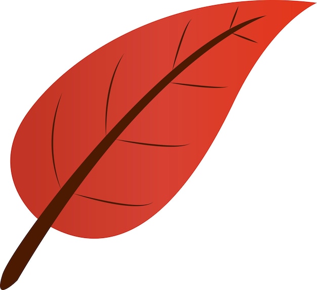 fall leaf or autumn vector illustration isolated