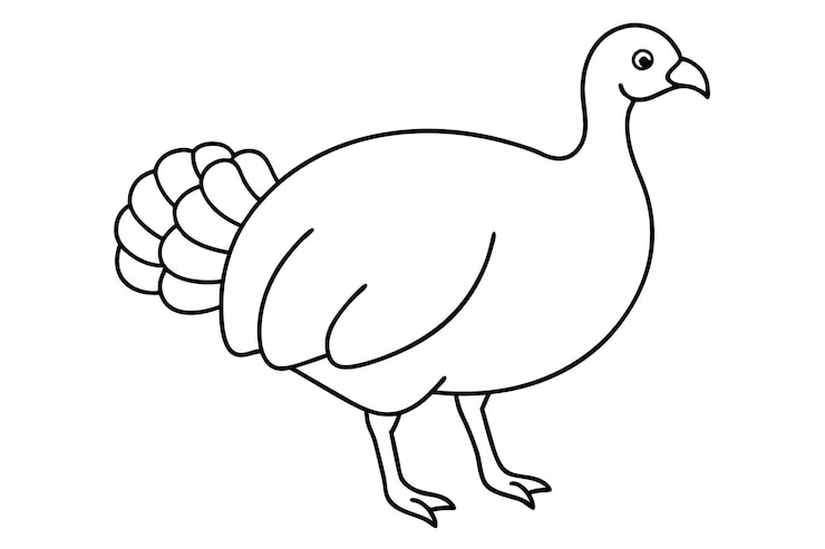 Vektor fat little peacock line art vector illustration
