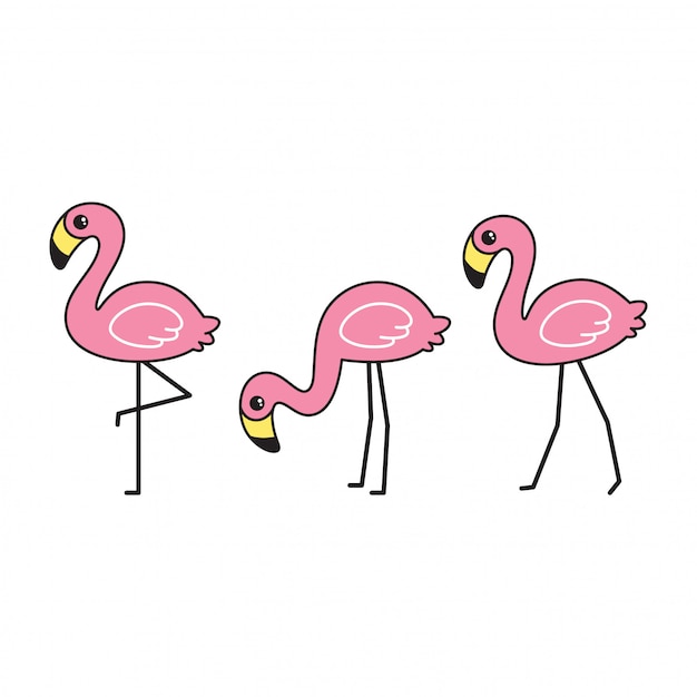 Flamingo cartoon illustration