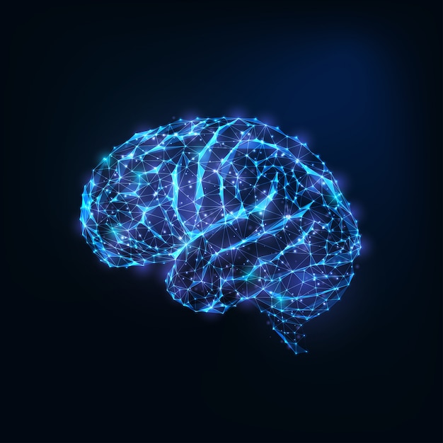 Futuristic glowing low polygonal brain as connected lines, stars isolated on dark blue 