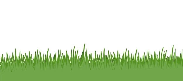 green grass background2