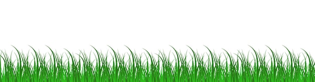 green grass border silhouette of grass on transparent background