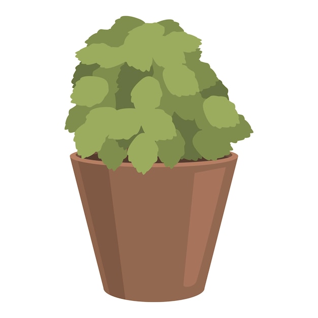 green plant growing in a clay pot for home decoration