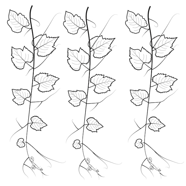 hand drawing flowers for greeting cards, coloring book, invitations, henna drawing, and tattoo.