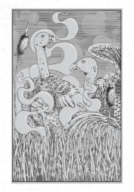 Hand drawing illustration with engraved line style, the concept from the vultures and wild life