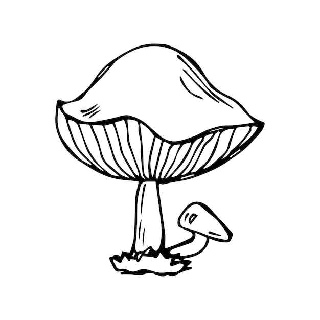 Hand drawn mushroom black and white vector