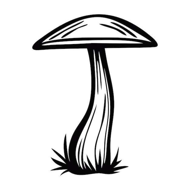 Hand drawn mushroom Sketch mushroom Isolated on white background Black and white