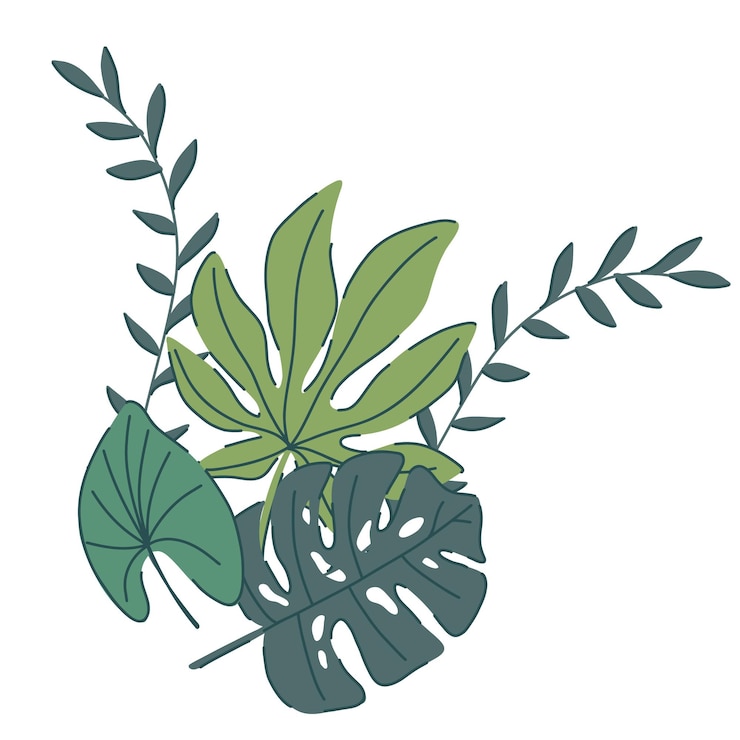 Vektor hand drawn tropical leaves illustration featuring monstera and palm leaves in green shades modern