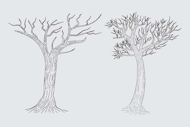 Hand drawn winter Bare Tree Sketch vector bare Trees Leafless dead old dry No leave pencil sketch