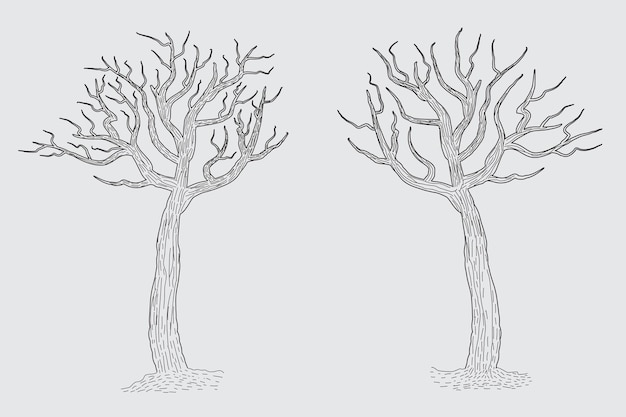 Hand drawn winter Bare Tree Sketch vector bare Trees Leafless dead old dry No leave pencil sketch