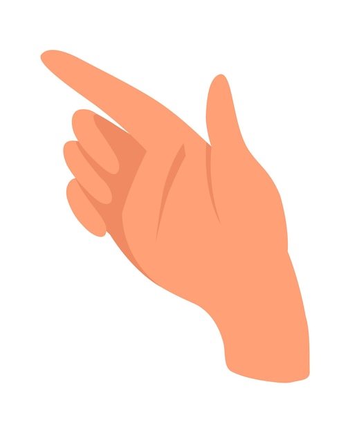 Human Hand Palm