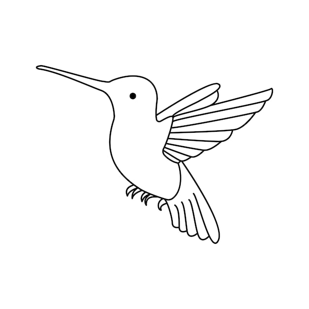 hummingbird single continuous one line out line vector art drawing and tattoo design