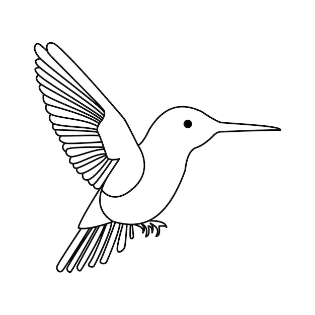 hummingbird single continuous one line out line vector art drawing and tattoo design
