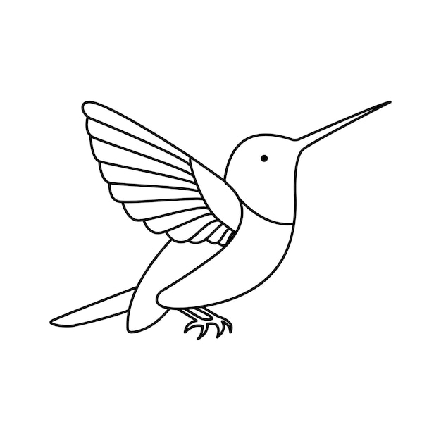hummingbird single continuous one line out line vector art drawing and tattoo design