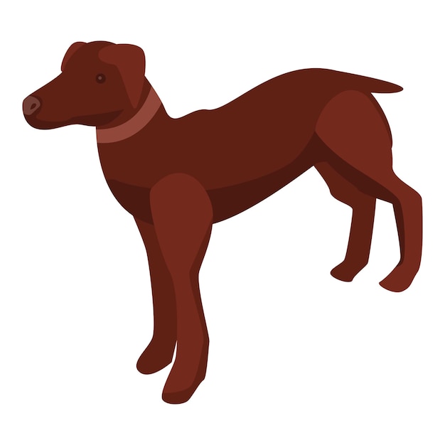 Hunting dog icon Isometric of hunting dog vector icon for web design isolated on white background