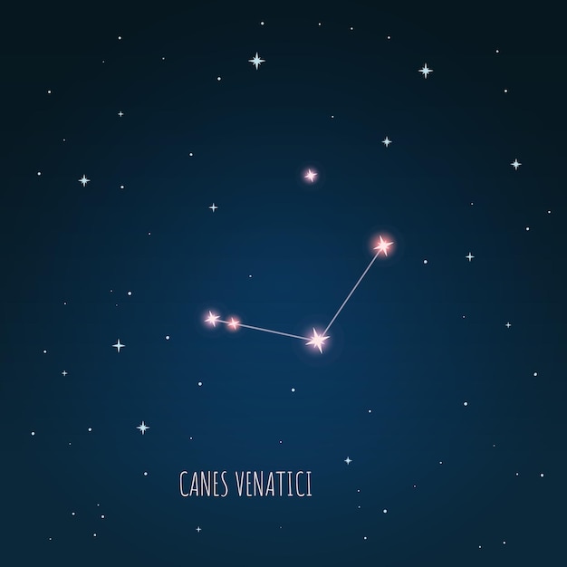 Illustration of Canes Venatici constellation. Tree branches, dark blue starry sky, cosmos