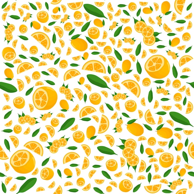 illustration on theme big colored seamless kumquat