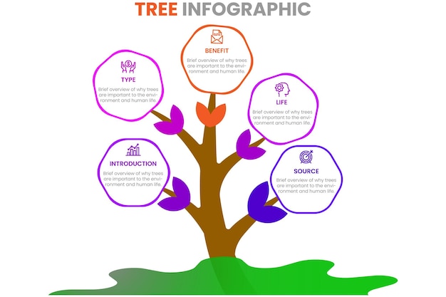 Infographic tree design template Vector illustration