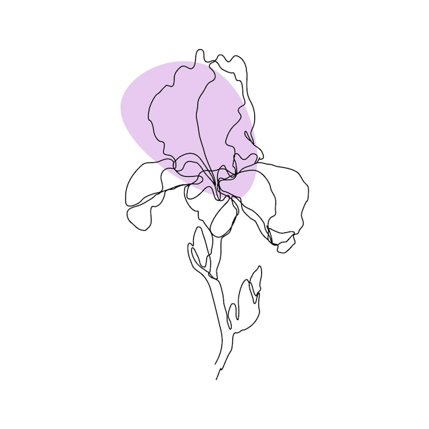 iris flower in one line style isolated on white background