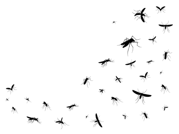 Vektor isolated flying mosquitoes silhouettes of insects
