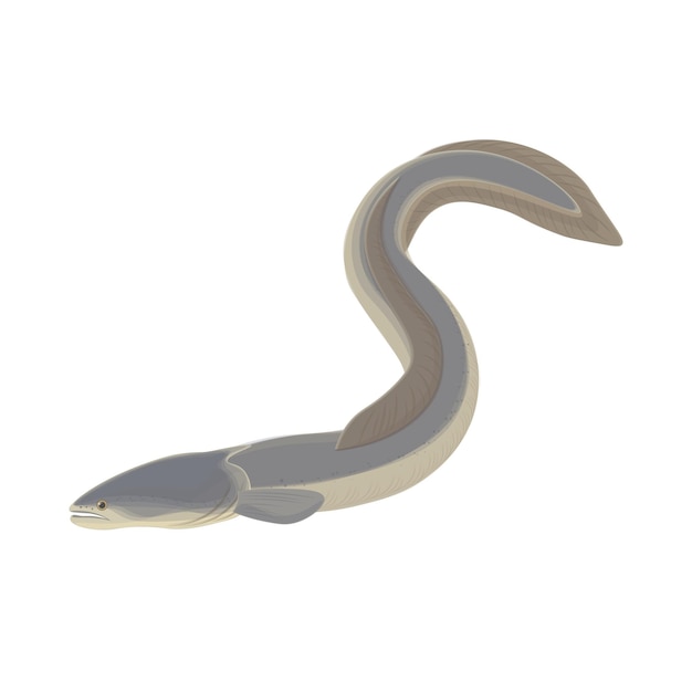 japanese eel realistic vector illustration logo