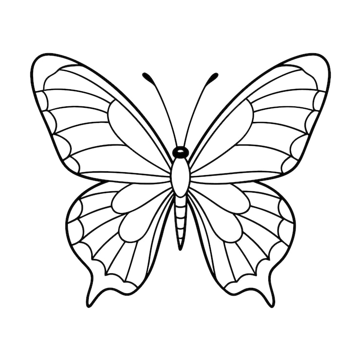 Vektor kids books coloring on amazing butterfly