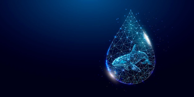 Killer whale in water drop World water day Protection environmental Ecology concept Wireframe low poly style isolated on dark blue background Vector illustration