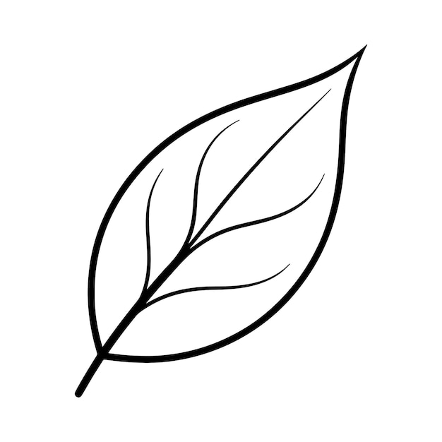 leaf line art silhouette vector illustration designs outline