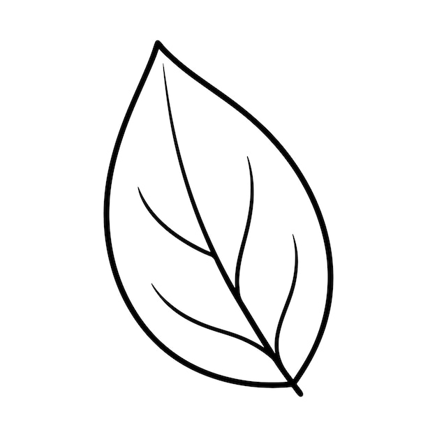 leaf line art silhouette vector illustration designs outline