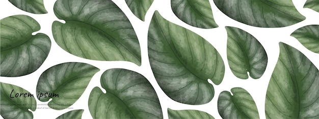 leaves nature background design vector for green environment background