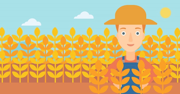 Man in wheat field