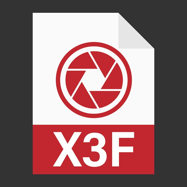 Modern flat design of X3F file icon for web