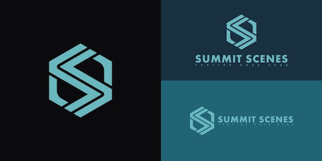 Modern initial hexagon vector letter S or SS logo in blue color isolated on multiple backgrounds