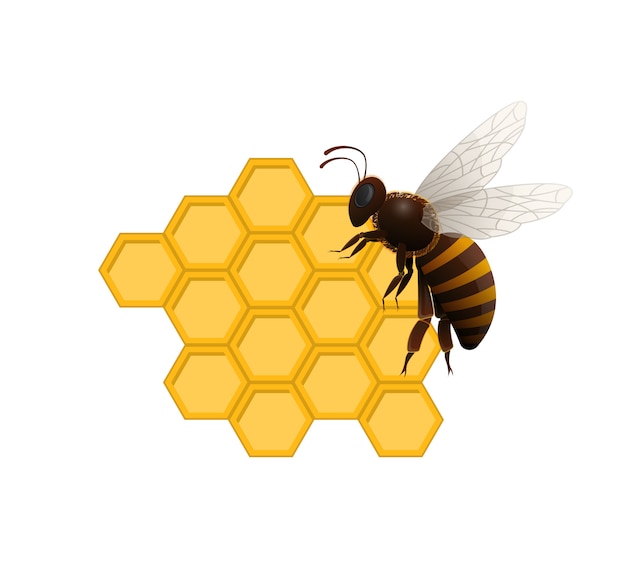 Naturlig søt delikatesse-symbol med honningbie