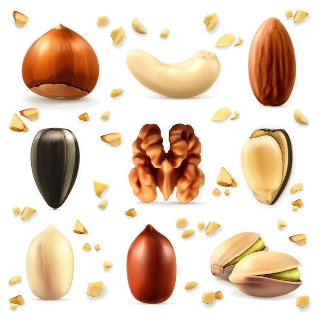 nuts, vector icon set