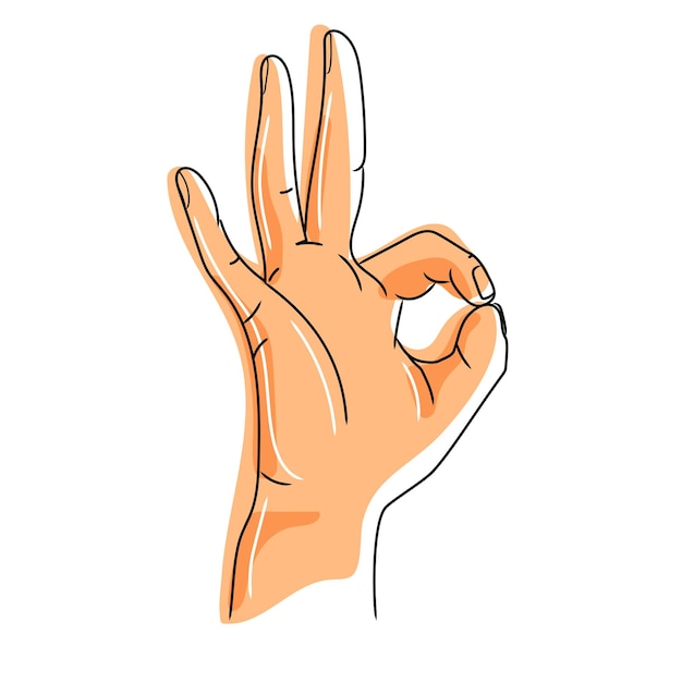 Ok Hand gesture vector illustration simple drawing isolated on white backgroundOK sign icon