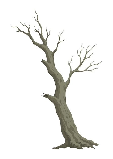 Old dead tree hand draw leafless trunk winter or autumn season plants icon dry naked branch